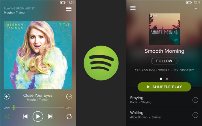 Install Spotify For Windows Widget Box