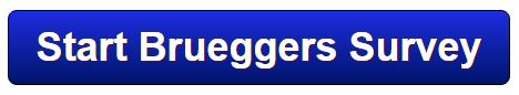 Bruegger’s Bagels Survey
