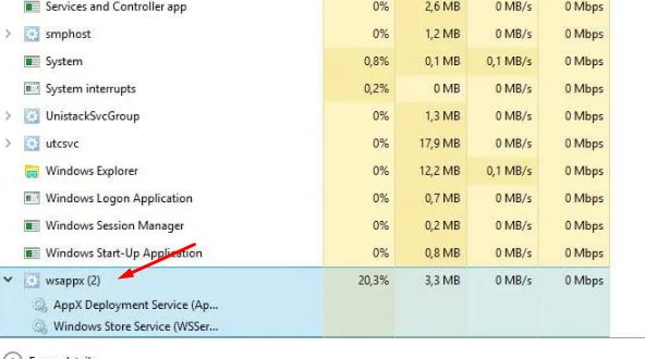 What is the wsappx process