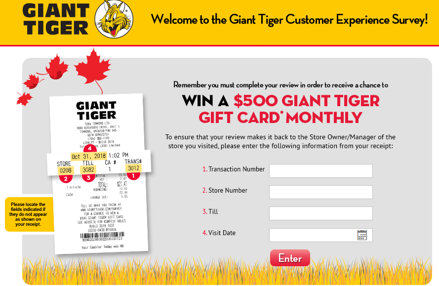 Giant Tiger Guest Experience Survey 2020