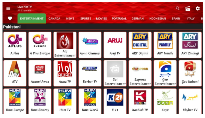Live Net TV : Watch Live Channels on Firestick