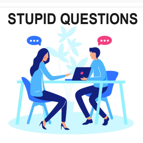 100+ Stupid and Funny Questions to Ask Anyone - Widget Box
